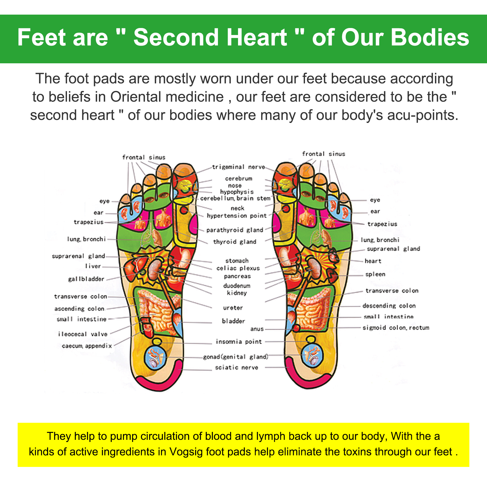 Foot Therapy Patches-8.jpg